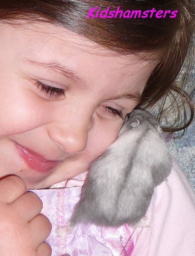 Törpehörcsög gyerek Kidshamsters